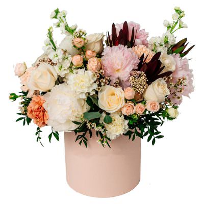 Коробка с живыми цветами «Амстердамский сон»