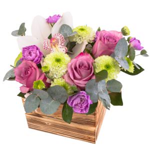 Ящик с цветами «Нежное очарование»