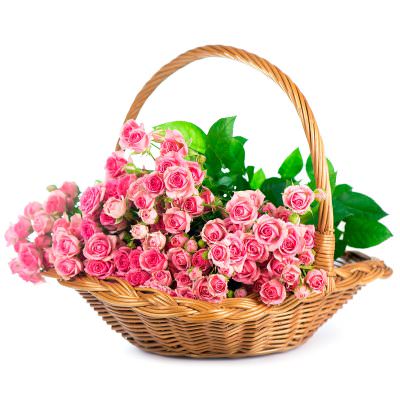 Корзина с розами «Нежный уют»